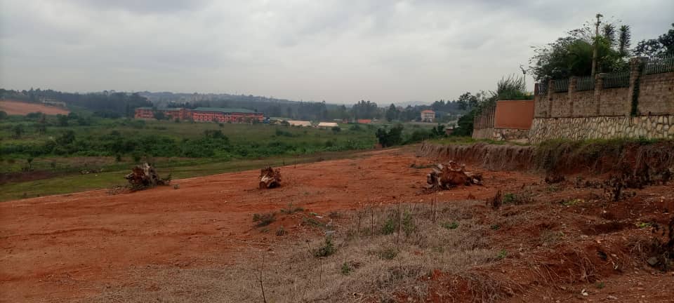 WhatsApp Image 2021-08-15 at 5.30.32 PM.jpeg